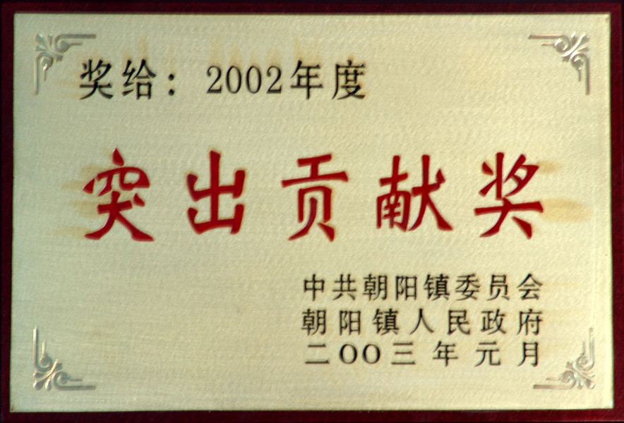 2002年突出貢獻(xiàn)獎(jiǎng)